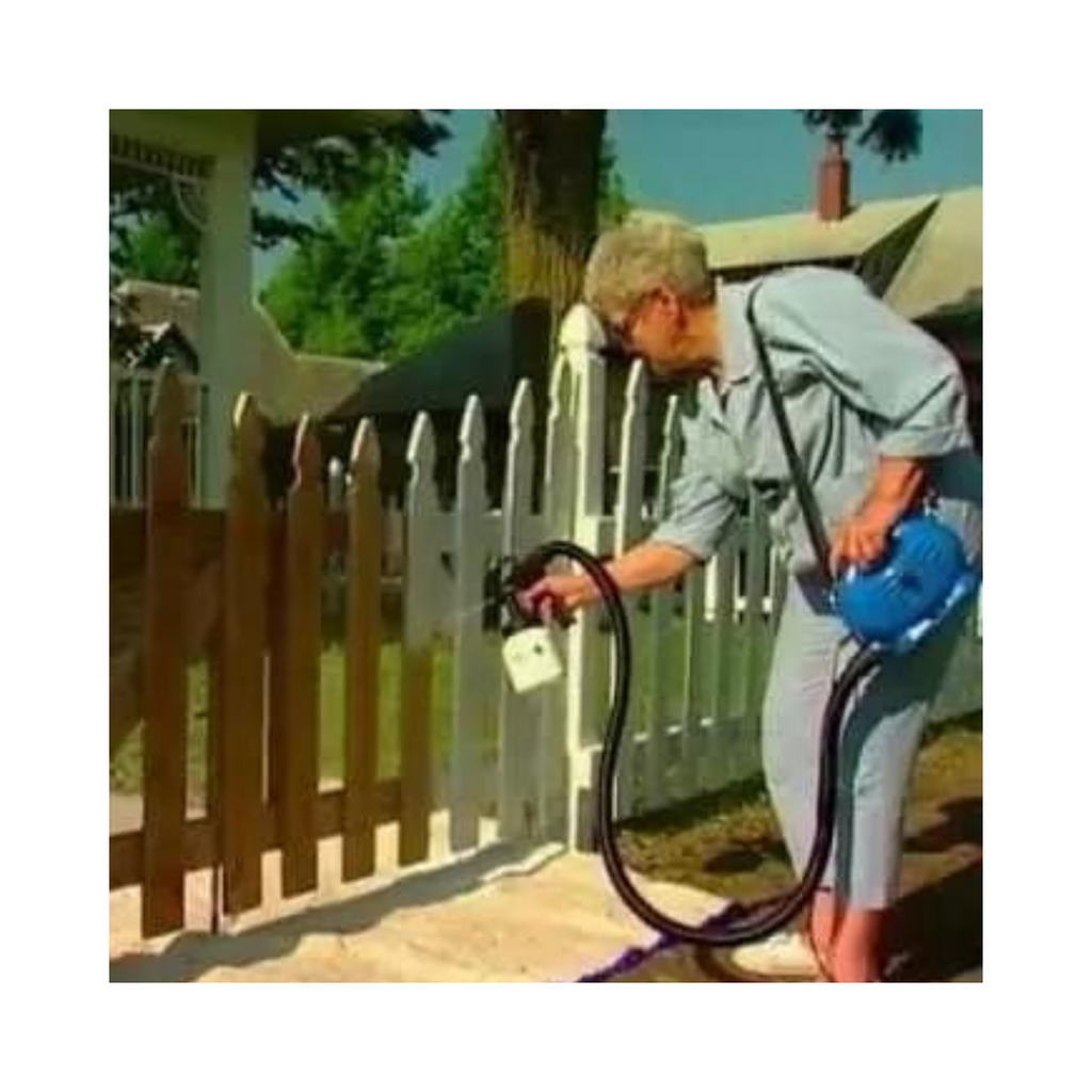 PISTOLA PROFESIONAL PARA PINTAR